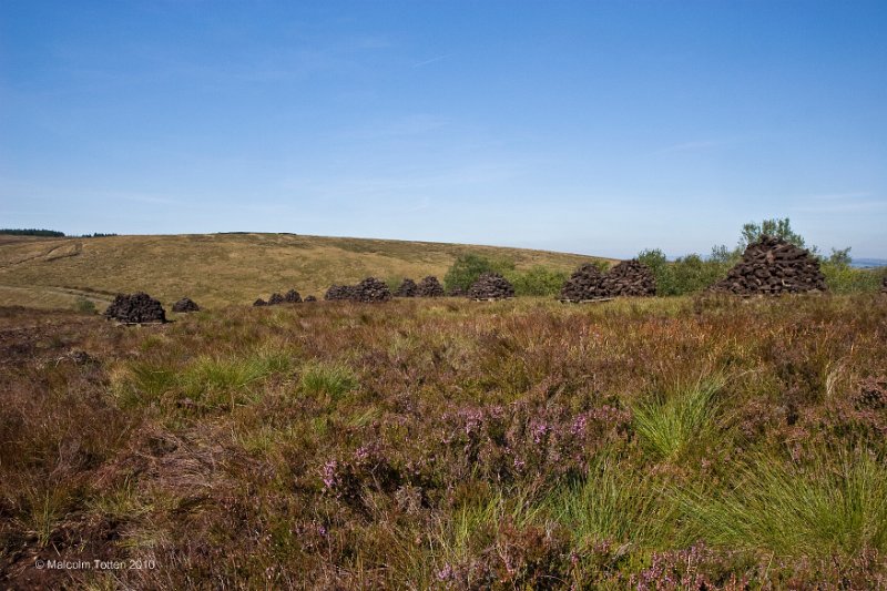 Clamps of turf ready for home.jpg